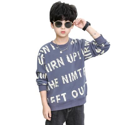 China Male Uniform Logo Photo Desgin Print Hoodies Custom Made Anti-Shrink Men Sweatshirt Pullover Rock Class for sale