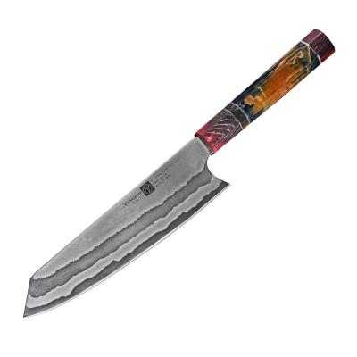 China Professional New Arrival 8 Inch Fangzuo Viable VG10 Damascus Steel Cooking Knives Kitchen Chef Knife With Colored Handle for sale