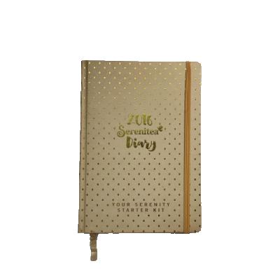 China Hot selling popular diary a5 paper hardcover book gold stamping planner packaging with elastic band notebook diary for sale