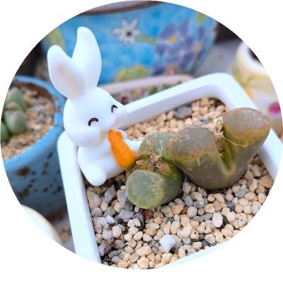 China Potted Mini Cute White Red Rabbits Succulents Ornaments Miniature Resin Craft Mini Greenhouse Landscape Artificial Fairy Garden Decor for sale