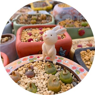 China Factory Supply PVC Bunny Animal Planter Plant Box Succunlent PVC Pots Direct Crafts for sale