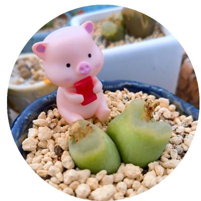 China PVC Mini Cartoon Animal Toy Garden Miniature Ornaments Landscape Decor Figure Micro Pink Farm Pig for sale