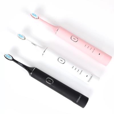 China Battery Operated OEM Customized IPX7 Waterproof USB Charging Sonic Electric Toothbrush Whitening Ultrasonic Teeth for sale