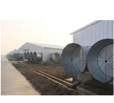 China Steel Building Galvanized Steel Structure Chicken Farms Poultry Livestock Shed for sale