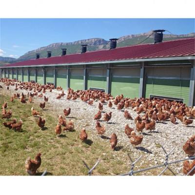 China Poultry House China Factory Direct Sale Steel 40 Feet Container Price House Poultry House for sale