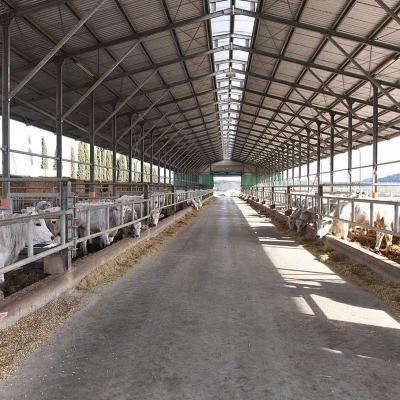 China Modern Steel Building Farm Building Steel Frame Structure Cattle Pitch Farm House Tent for sale