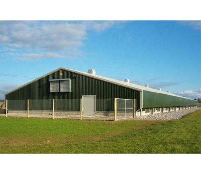 China Lightweight steel construction steel structure prefab poultry farm in Malaysia for broiler duck farming for sale