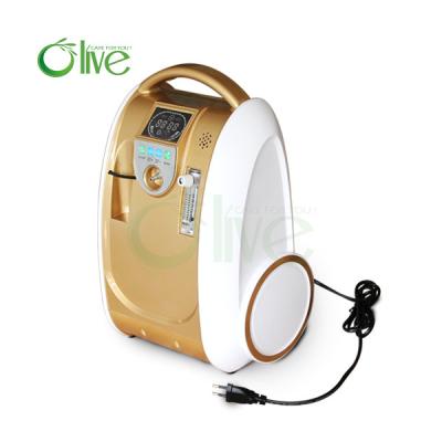 China Whole set,with battery,trolley bag,trolley cart,car adaptor,portable oxygen concentrator for sale