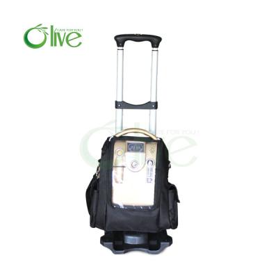 China 1L home use oxygen concentrator with battery for sale