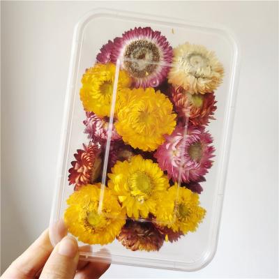 China Real Natura Chrysanthemum Flower Natural Dry Materials Made of Handicrafts for sale