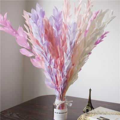 China Natural Touch Preserved Flower Lily Bamboo For Home Flower Arrangement And Desktop Decoration for sale