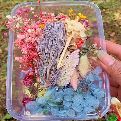 China Artificial Dried Flowers and Plants Eterna 1 Box Preserved Floral Eterna Epoxy Resin Necklace Pendant Craft Diy Flower Natural Dry Plant For Aromatherapy Candle for sale