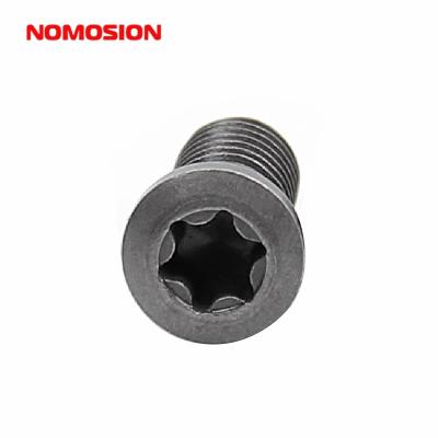 China Pan CNC Tools Parts Cutting Tools Screws OM5*14-T20 Carbide Torx Insert Screws For CNC Lathe Tool Holder for sale