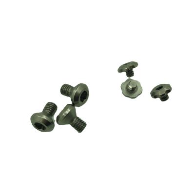 China Custom 304 Stainless Steel Camera Screws Torx Screw for sale