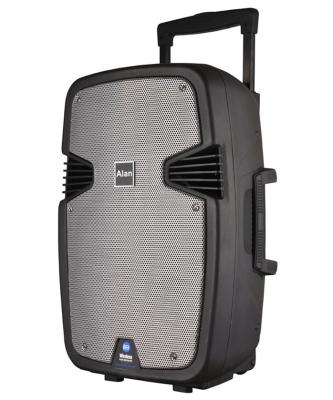 China No Karaoke High Quality System Trolley Outdoor Portable Speaker 15 Inch Full Range Speaker for sale