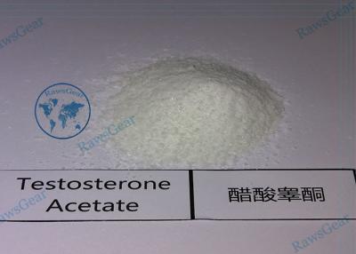 China Oral Testosterone Steroids 4-Chlorotestosterone Acetate / Clostebol Acetate powder for sale