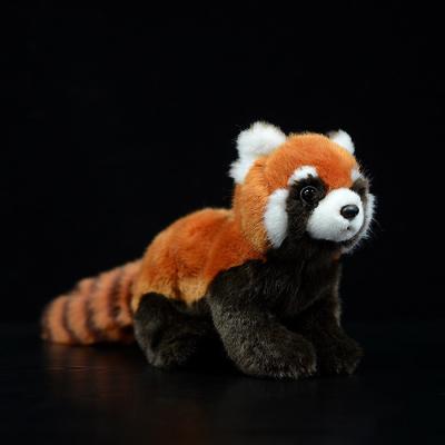 China 23cm Plush Toy Realistic Wild Animal Red Panda Bear Lifelike Soft Toys Soft Toy Lesser Panda Doll for Kids Gifts for sale