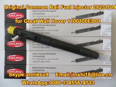 China DELPHI common rail injector 28231014 for Great Wall Hover H6 1100100-ED01 for sale