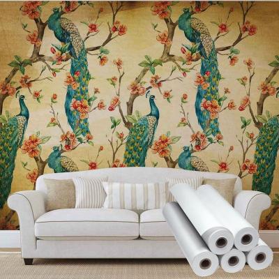 China Paper Art Digital Printing Wall Poster Printing Paper Poster Custom Wall Art Digital Print for sale