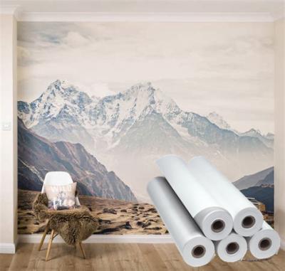 China Eco-Solvent Wall Fabric Printable Wall Paper Wall Covering For Home Hotel for sale