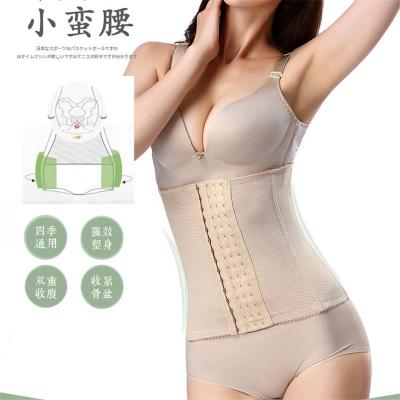 China Best Shapewear Waist Trainer Antibacterial Top African Selling Corset Women Shapers for sale