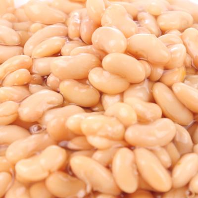 China Good Quality Canned Price Canned White Kidney Beans 2020 In Brine for sale