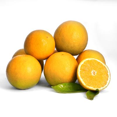 中国 Wholesale fresh tangerine fresh tangerine 販売のため