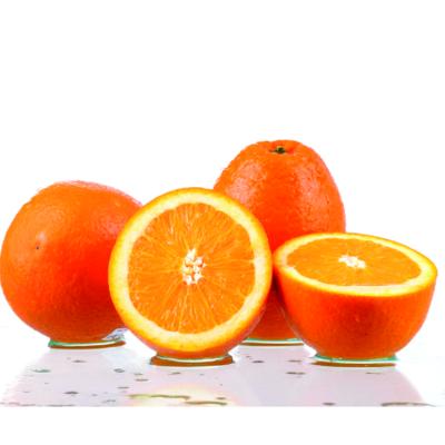 中国 Factory fresh cheap hot sale sweet tangerine 販売のため