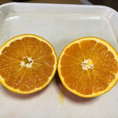 中国 navel orange fresh fresh sweet delicious fresh citrus oranges for sale 販売のため