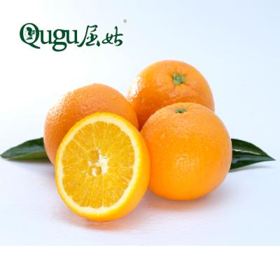 中国 Alley fresh fresh sweet delicious fresh citrus late orange oranges on sale 販売のため