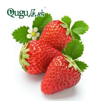 China Canned healthy and natural fruit canned bakery and food processing canned strawberry for sale