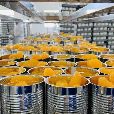 China Canned Healthy And Green Food Canned Instant Canned Fruit Tangerines OEM for sale