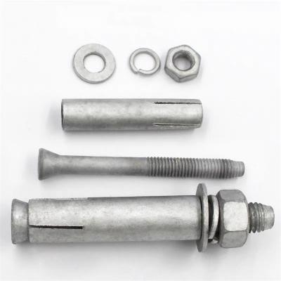 China Stainless Steel Expansion Screw Bolt Concrete Anchor Bolt Burst Expansions 304 Stainless Steel M6 M8 M10 M12 for sale