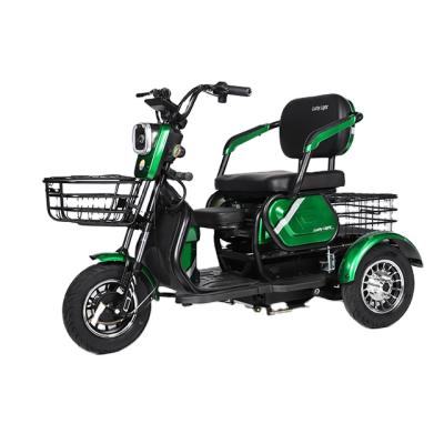 중국 Universal Passenger 48/60V Small And Medium Differential Motor 500W Electric Tricycle 판매용