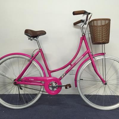 China Hot-selling style 26 inch retro leisure city popular Dutch Brazilian single-speed bicycle from Chinese factory en venta