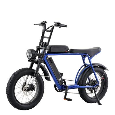 China Aluminum Alloy Halley Double Battery Multipurpose Electric Bikes 1000 W 13 Ah Electric Bicycles for sale