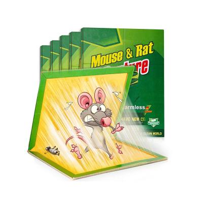 China Factory Popular Disposable Rat Catcher Pest Control Mouse Glue Board Trap Rat Glue Traps for sale