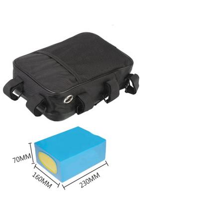 China Factory Waterproof High Quality Portable Custom Scooter Dual Stem Battery Bag For E-Bike for sale