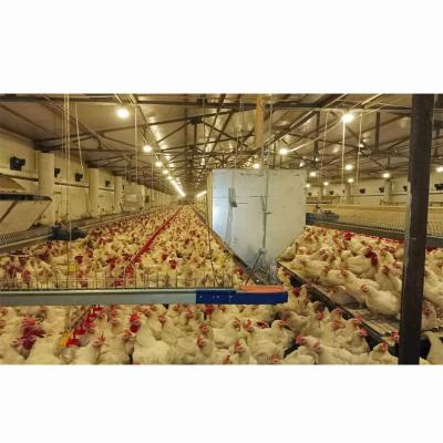 China Steel Workshop Farm Building Prefabricated Steel Structure Building Modern Design Poultry House Pier For Layer Broiler Farm for sale