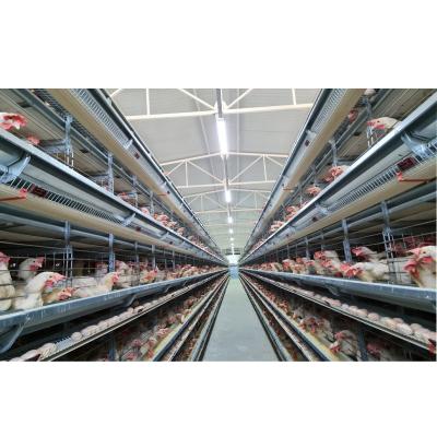 China Cheap Steel Structure Construction Shed Poultry Farm Poultry Farm Chicken House Manufacturing For Sale Commercial Egg Chicken House Design For Layers for sale