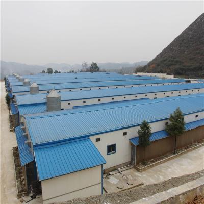 China Steel Structure Building Roof Trusses Lightweight Customized Steel Structure Poultry Farm for sale