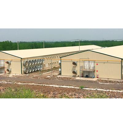 China Good Price Industrial Layer Chicken Farming Automatic Poultry Equipment For Sale for sale