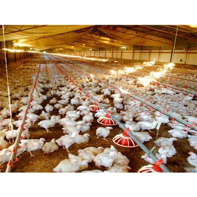 China Broiler Equipment Poultry Shed Design Industrial High Quality Modern Chicken Farm for sale