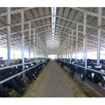 China Mobile Farms Cattle Slaughterhouse Slaughterhouse Equipment For Cattle for sale