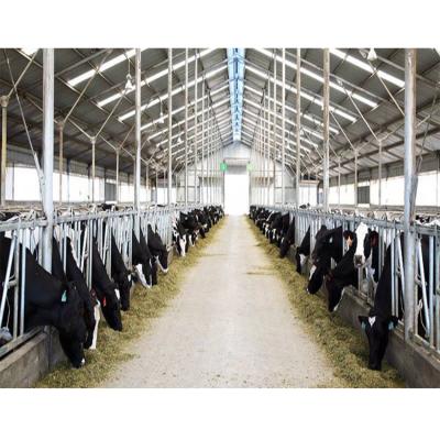 China Slaughterhouse Equipment Cattle Farms Dairy Goat House Close House Cattle for sale