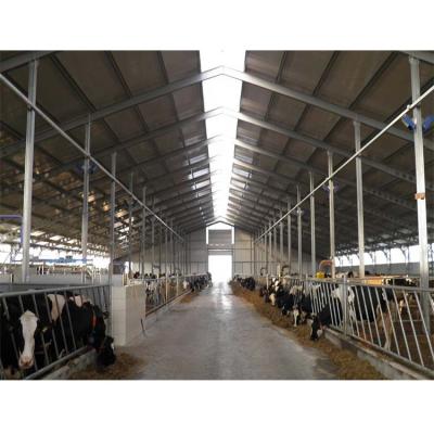 China Farms Cattle House Steel Structure Cow Farming Dairy Farm House for sale