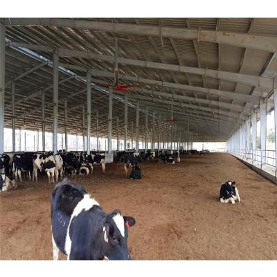 China Farms dairy cow shed rearing house cow shed farm building cattle sail cow housing for sale