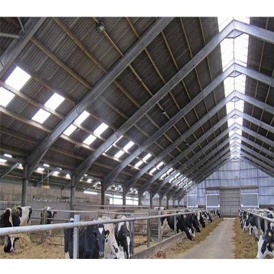 China Free Modern Farmhouse Design Cow Friesian Dairy Cow Breeds Farming Items for sale