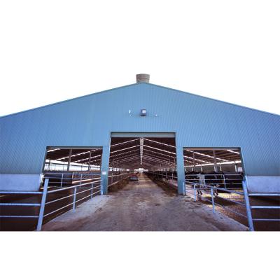 China Farm Workshop Building Light Steel Structure Cattle House Cow Shed Barn Barn Design Low Cost Quickly assebly for sale