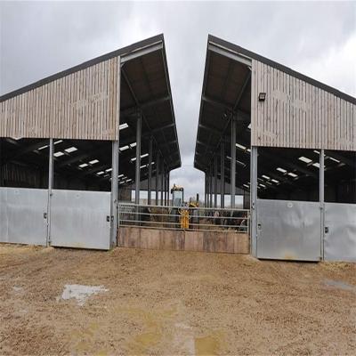 China Modern Lightweight Prefab House Low Cost Roof Structure Buildings Farm Barn House Steel Dairy Cow Shed for sale